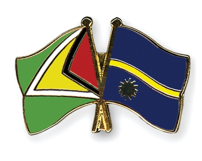 Fahnen Pins Guyana Nauru