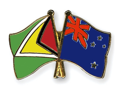 Fahnen Pins Guyana Neuseeland