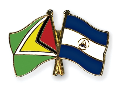 Fahnen Pins Guyana Nicaragua