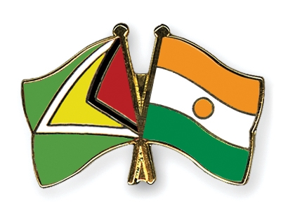 Fahnen Pins Guyana Niger