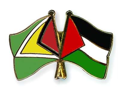 Fahnen Pins Guyana Palstina