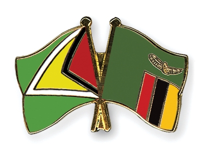 Fahnen Pins Guyana Sambia