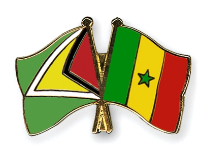 Fahnen Pins Guyana Senegal