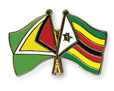 Fahnen Pins Guyana Simbabwe