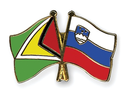 Fahnen Pins Guyana Slowenien