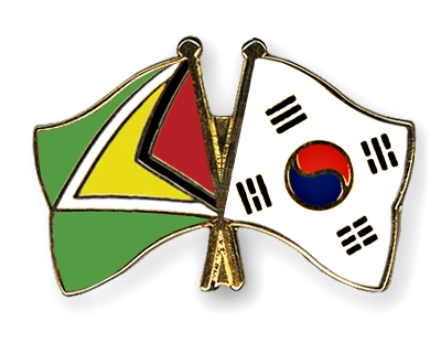 Fahnen Pins Guyana Sdkorea