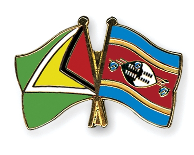 Fahnen Pins Guyana Swasiland