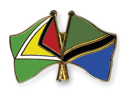 Fahnen Pins Guyana Tansania