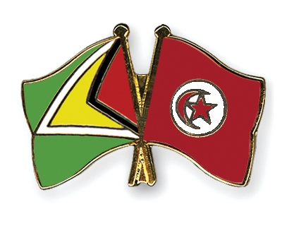 Fahnen Pins Guyana Tunesien