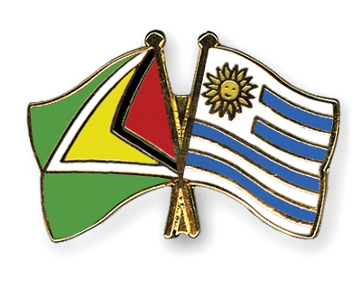 Fahnen Pins Guyana Uruguay