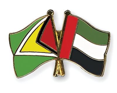 Fahnen Pins Guyana Ver-Arab-Emirate