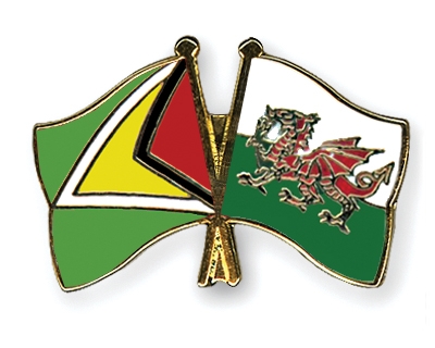 Fahnen Pins Guyana Wales