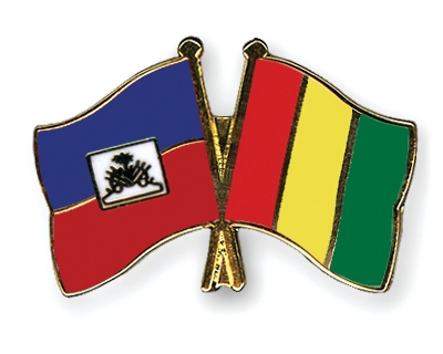 Fahnen Pins Haiti Guinea