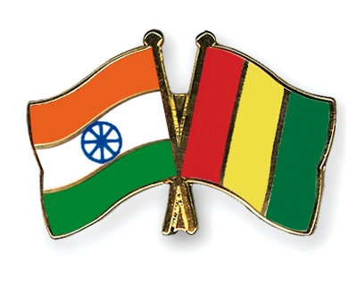 Fahnen Pins Indien Guinea