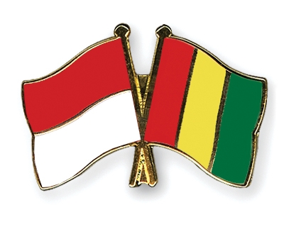 Fahnen Pins Indonesien Guinea