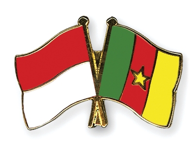 Fahnen Pins Indonesien Kamerun