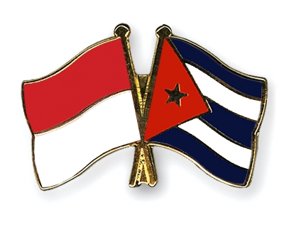 Fahnen Pins Indonesien Kuba