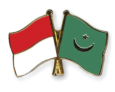 Fahnen Pins Indonesien Mauretanien