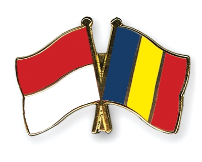 Fahnen Pins Indonesien Rumnien
