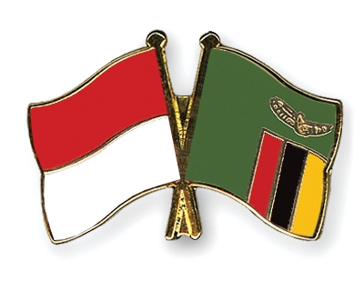 Fahnen Pins Indonesien Sambia