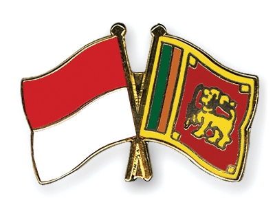 Fahnen Pins Indonesien Sri-Lanka