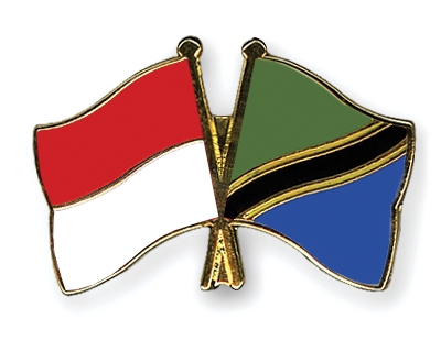 Fahnen Pins Indonesien Tansania