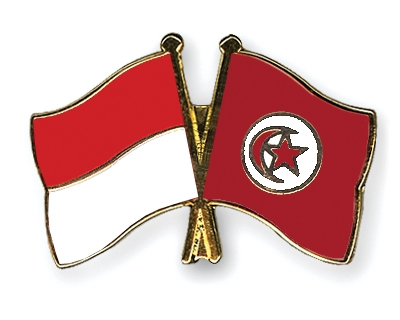 Fahnen Pins Indonesien Tunesien