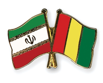 Fahnen Pins Iran Guinea