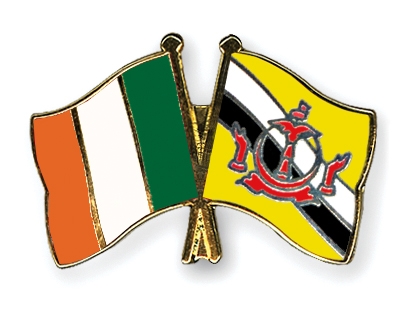 Fahnen Pins Irland Brunei-Darussalam