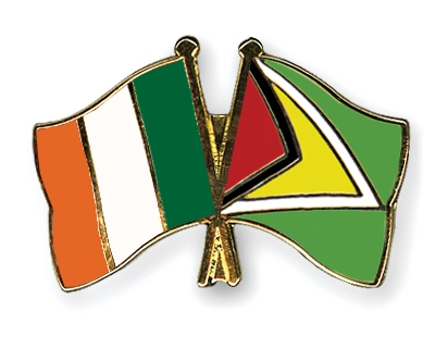 Fahnen Pins Irland Guyana
