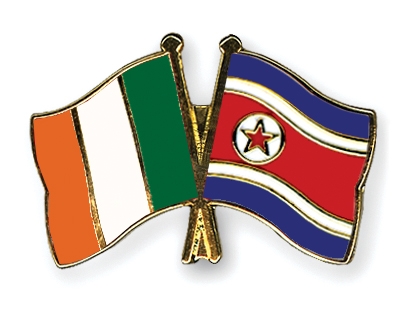 Fahnen Pins Irland Nordkorea