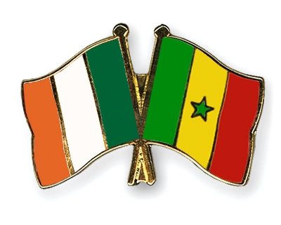 Fahnen Pins Irland Senegal