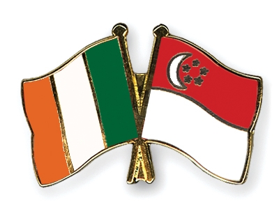 Fahnen Pins Irland Singapur