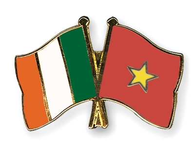 Fahnen Pins Irland Vietnam