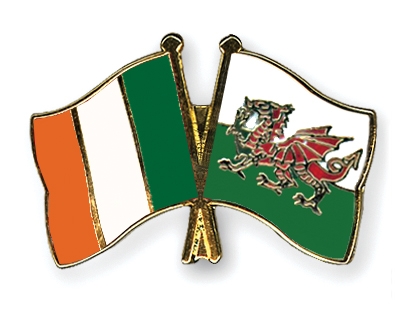 Fahnen Pins Irland Wales