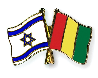 Fahnen Pins Israel Guinea