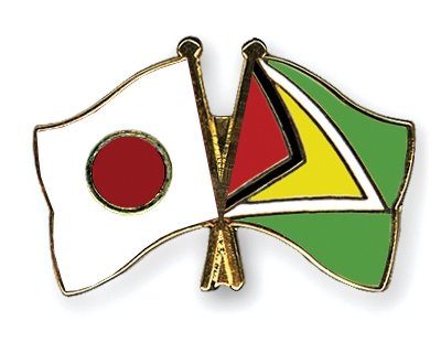 Fahnen Pins Japan Guyana