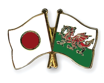Fahnen Pins Japan Wales