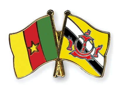 Fahnen Pins Kamerun Brunei-Darussalam