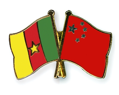 Fahnen Pins Kamerun China