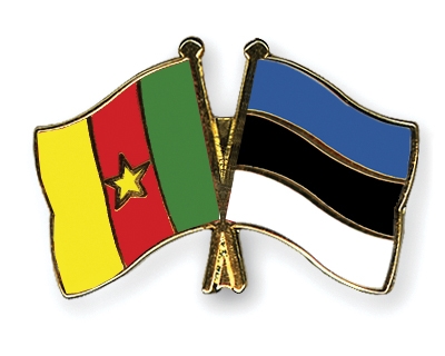 Fahnen Pins Kamerun Estland