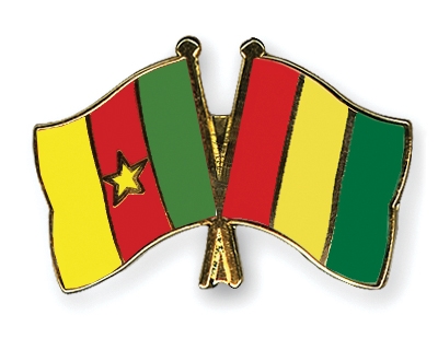 Fahnen Pins Kamerun Guinea
