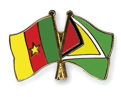 Fahnen Pins Kamerun Guyana