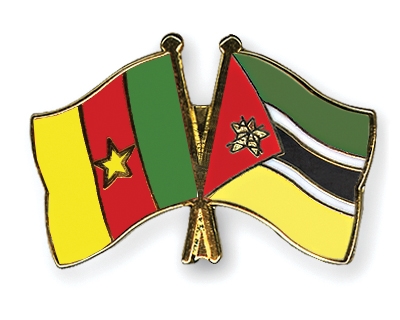 Fahnen Pins Kamerun Mosambik