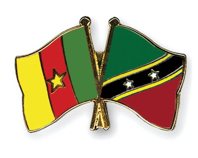 Fahnen Pins Kamerun St-Kitts-und-Nevis