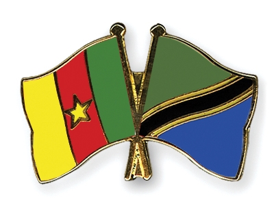 Fahnen Pins Kamerun Tansania