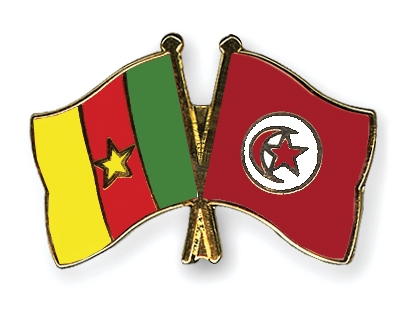 Fahnen Pins Kamerun Tunesien