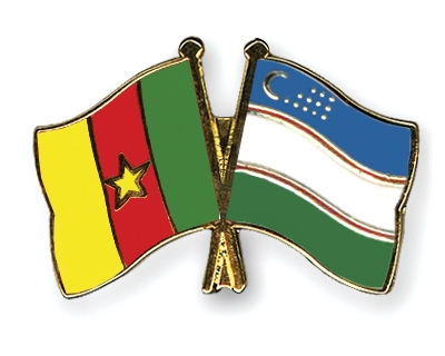 Fahnen Pins Kamerun Usbekistan