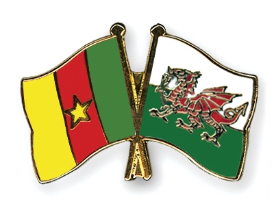 Fahnen Pins Kamerun Wales