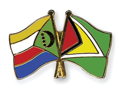 Fahnen Pins Komoren Guyana